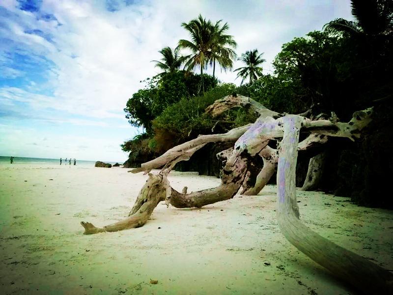 Diani Hostel Диани-Бич Экстерьер фото