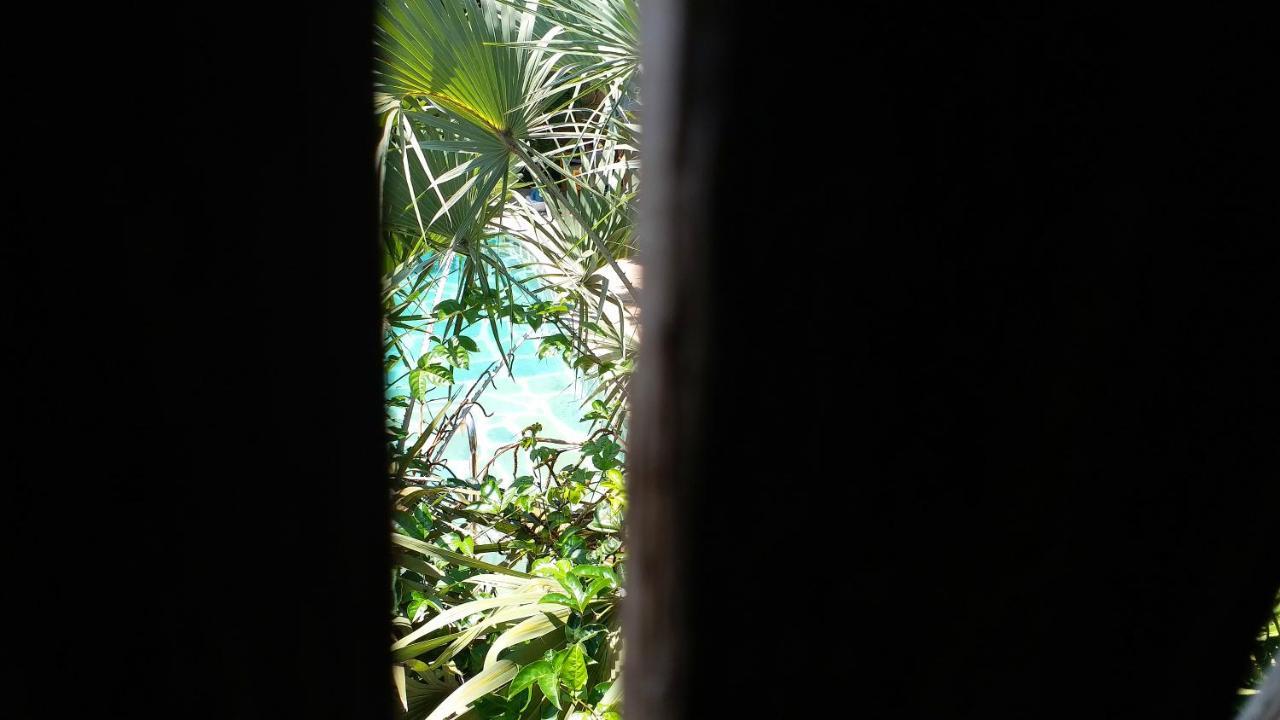 Diani Hostel Диани-Бич Экстерьер фото